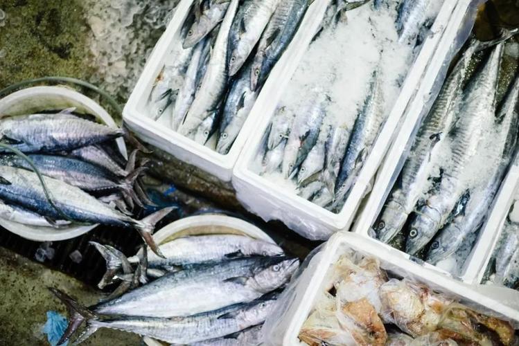 冷链物流与水产品加工企业必读 水产品鲜度保障与安全管控指南